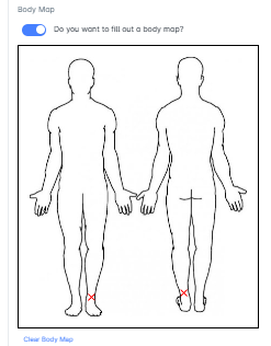 Body Map.png