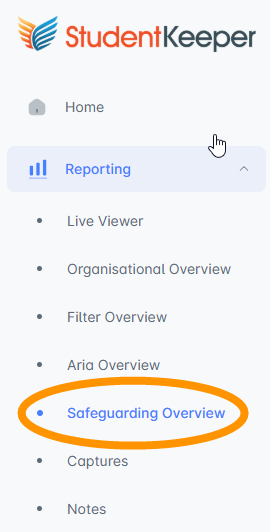 Reporting Safeguarding Overview.png